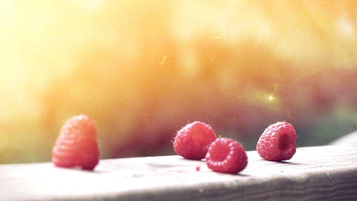 İç mekân ve düzen