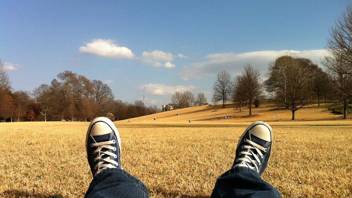 İç mekân ve düzen