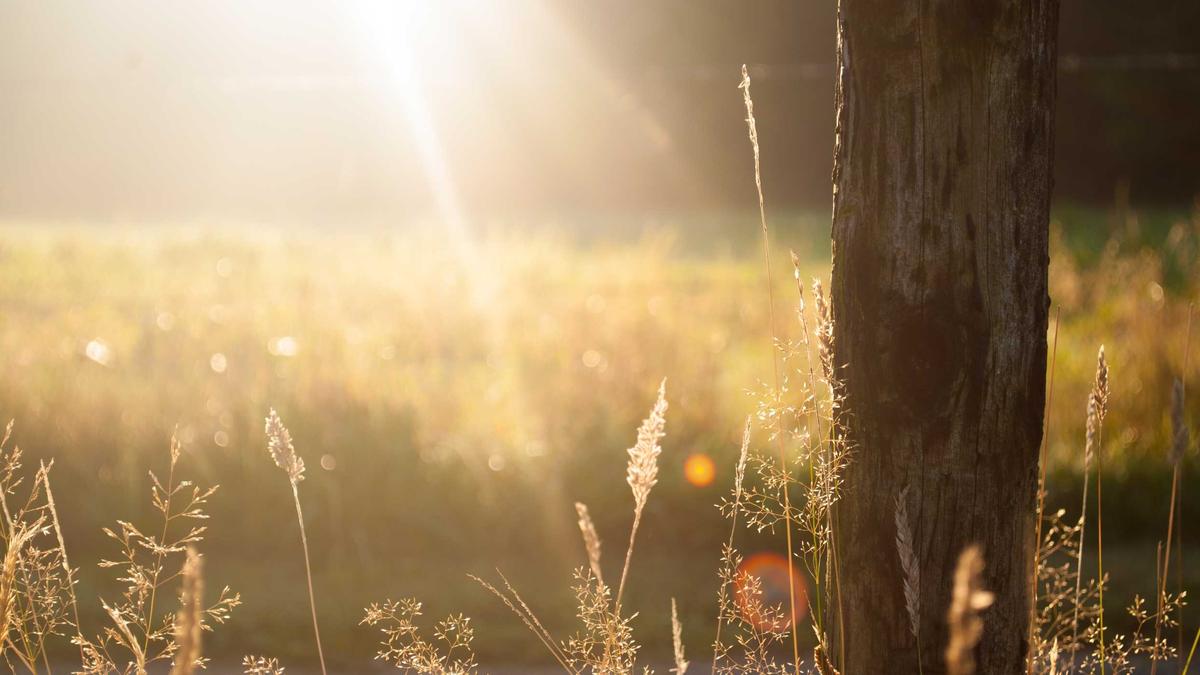 Konut seçiminde dikkat edilen detaylar