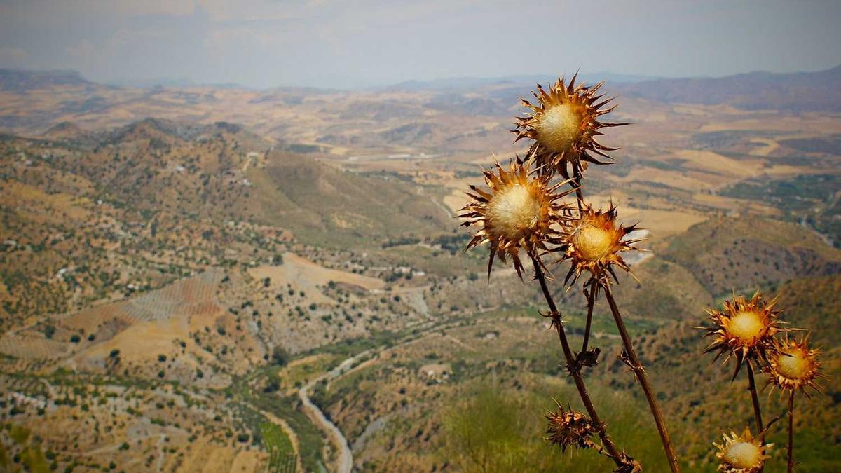 Kocaali’de kışa hazırlık: müstakil konutlarda kontroller