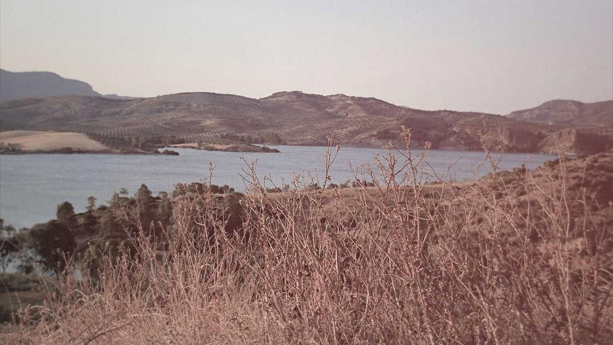 Konut ve çevre detayları