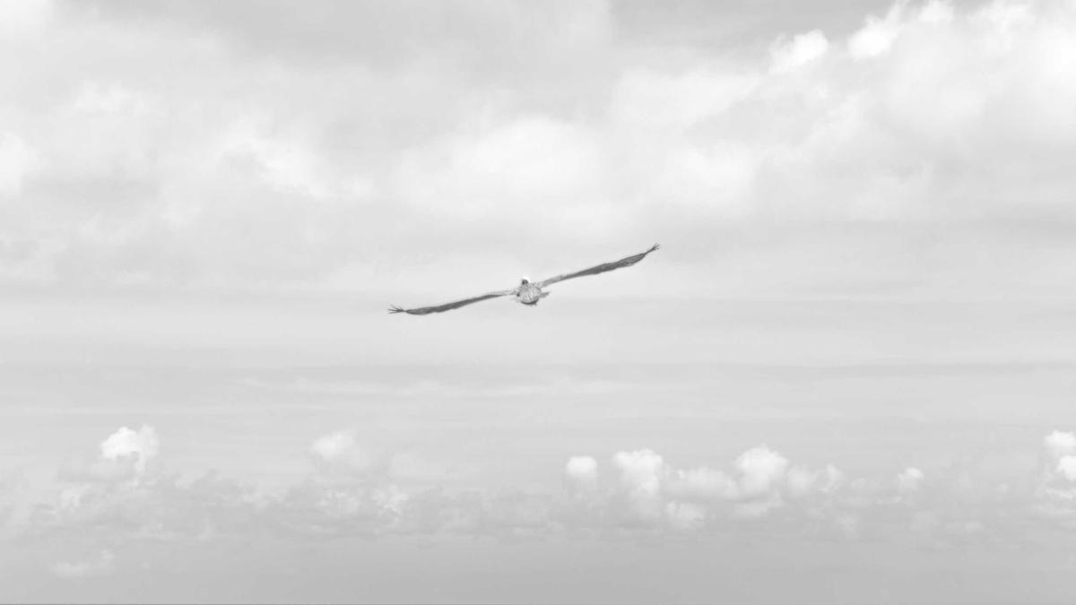 Konfor ve mimari detay