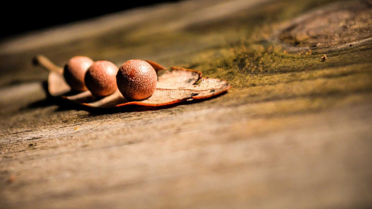 İç mekân ve düzen